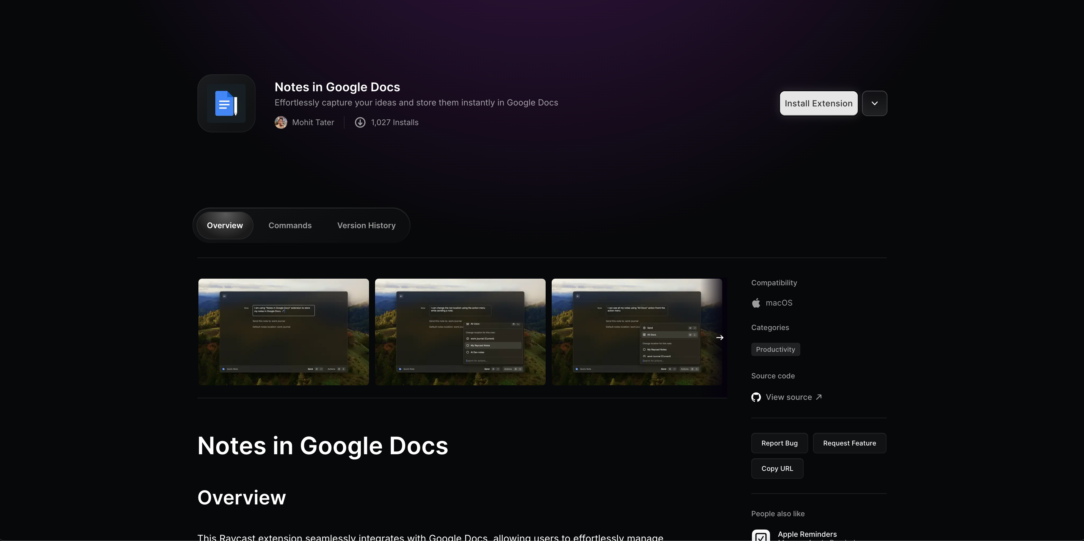 Screenshot of Notes in Google Docs